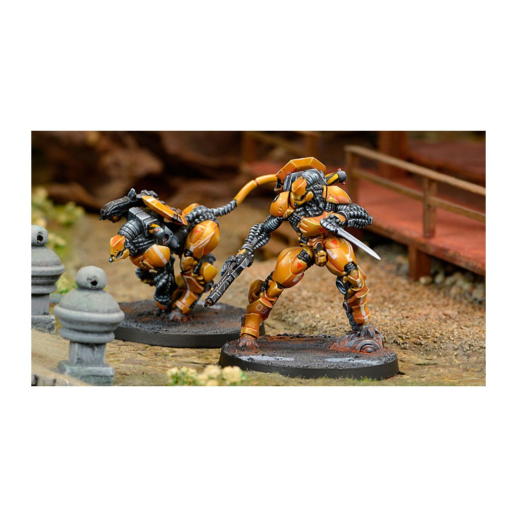 Infinity - Yu Jing - Sù-Jiàn Immediate Action Unit