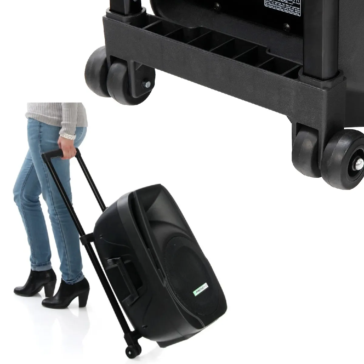 Pronomic PH12AW