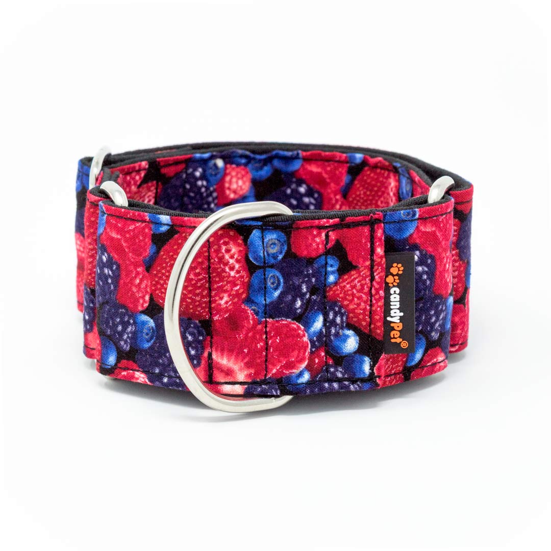 Coleira Martingale candyPet® para Cães - Modelo Frutas Silvestres, EXTRA LARGA