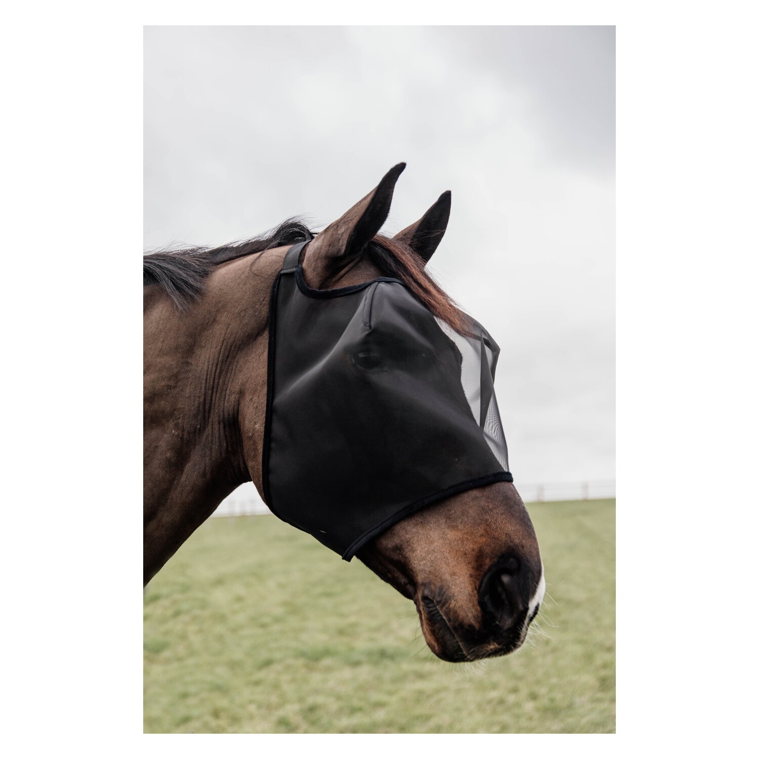 KENTUCKY Fliegenmaske Classic ohne Ohren  - black