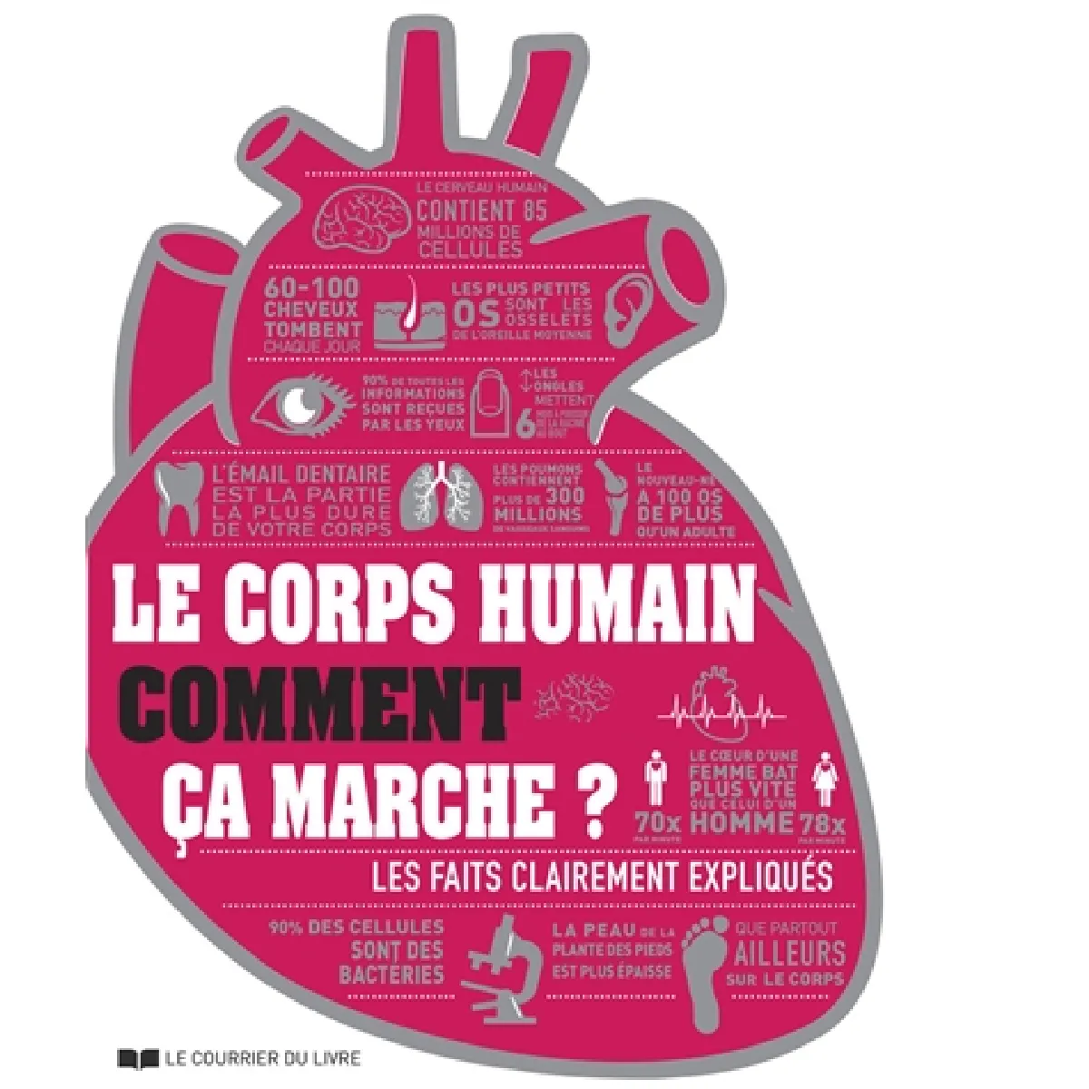 Le corps humain : comment ça marche ? : les faits clairement expliqués