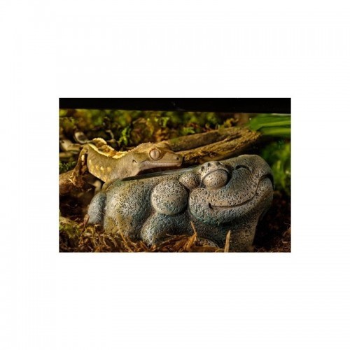 Garrafa de água Exo Terra Aztec Frog, marrom