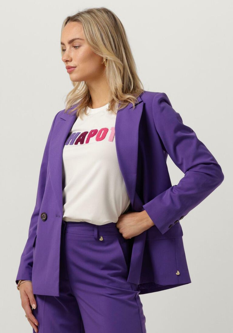 FABIENNE CHAPOT paarse fabienne chapot blazer benji blazer