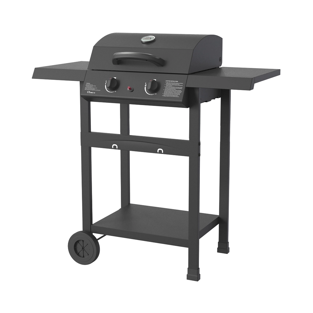 FlammenKönig Gasgrill mit 2 Brenner, Gasregler + Schlauch inkl.