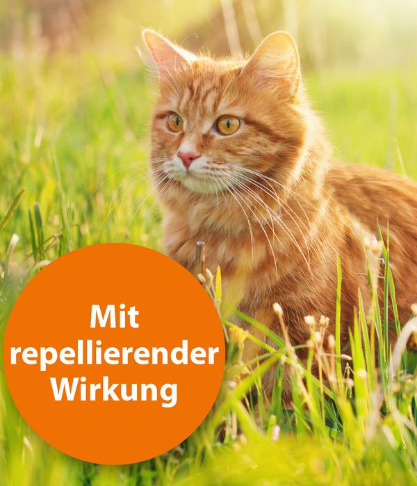 ARDAP® Zecken- und Flohschutz Spot-On für