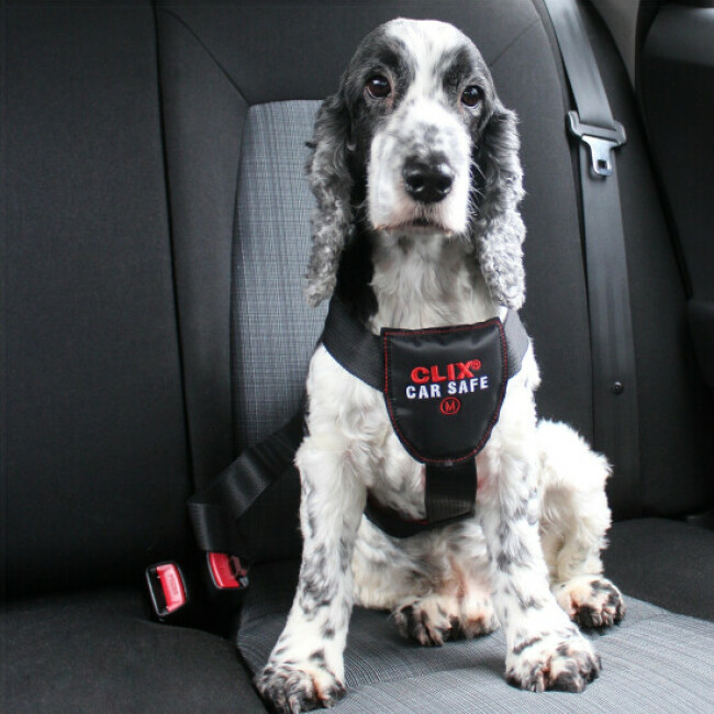 Harnais de voiture Clix Car Safe pour chien