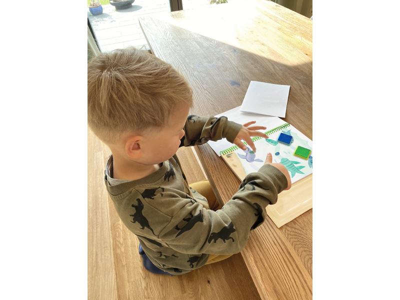 Depesche Malset Dino World 25 Seiten, 4 Stempelfarben Fingerfarbe