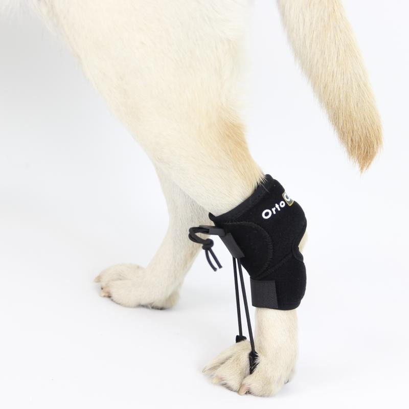 Corretor proprioceptivo