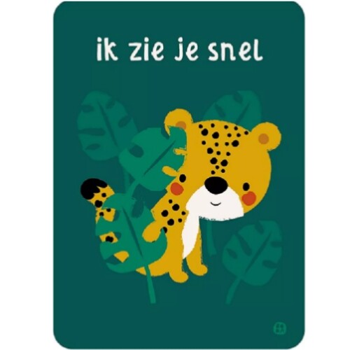 By bora ansichtkaart jungle - cheetah