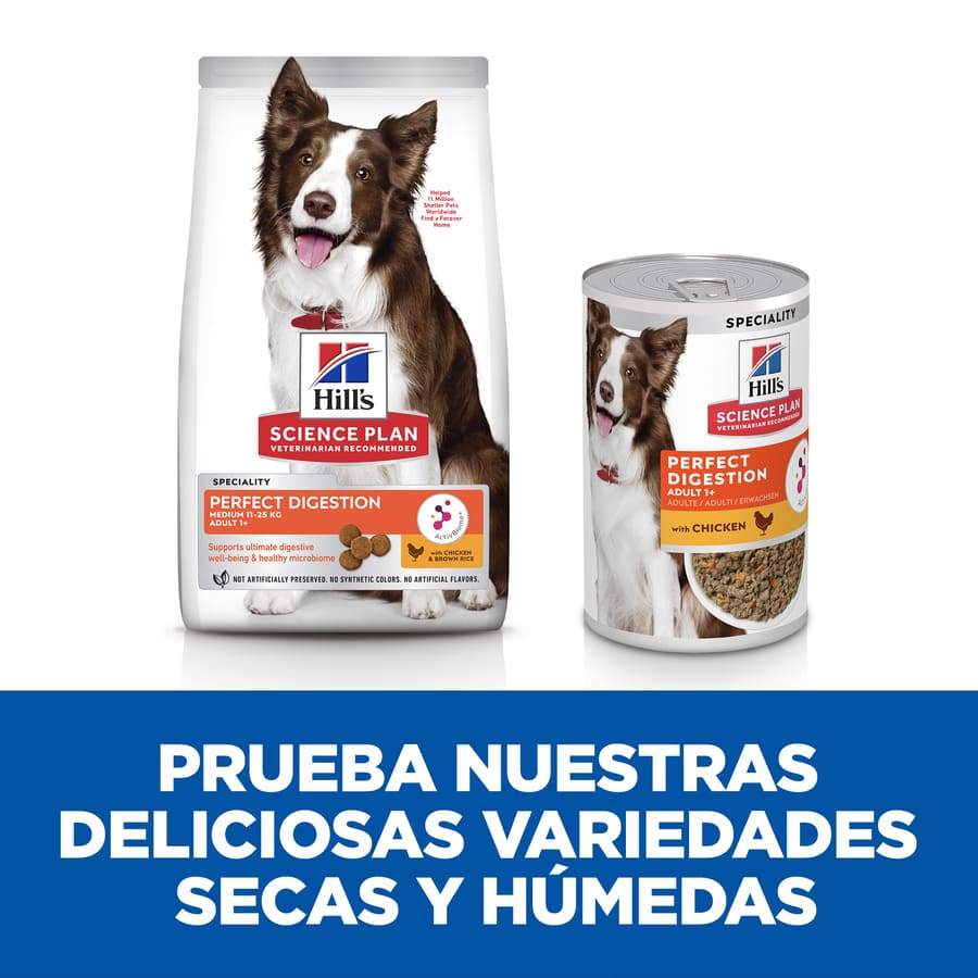 Ração Hill's Science Plan Perfect Digestion para Cães Adultos de Porte Médio com Sabor de Frango