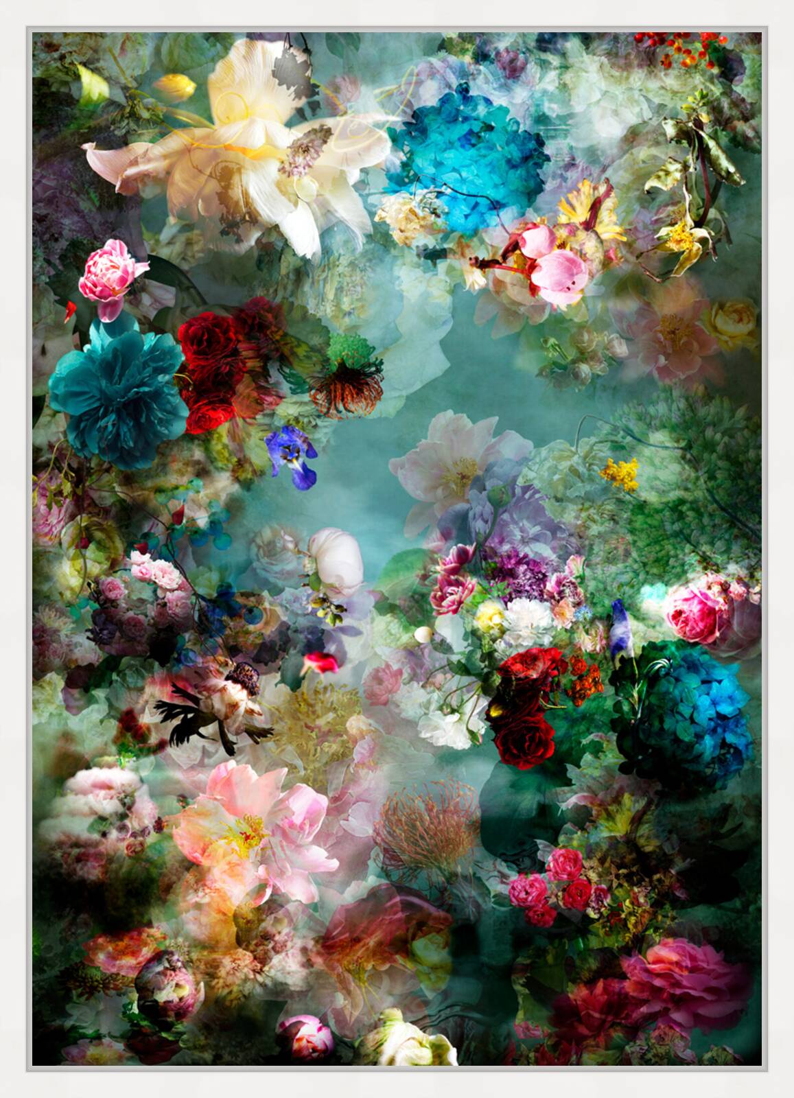 Adventures in the Garden 02 by Isabelle Menin - Limited Edition. Edition of: 150. Signed.