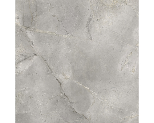 Porseleinen steengoed wand- en vloertegel Lido 119,7 x 119,7 x 0,8 cm Zilver mat gerectificeerd