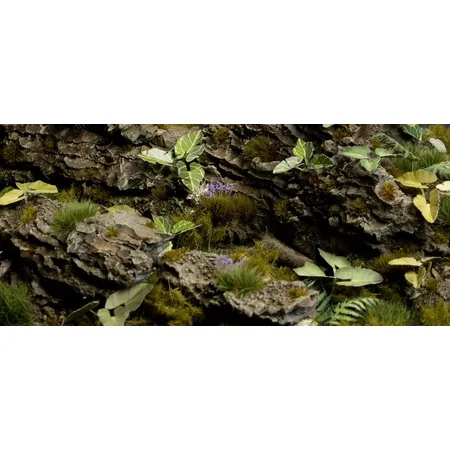 Gamer Grass Basis Gestaltung Pflanzen Elephant Ear, 51er Packung