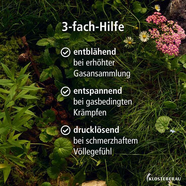 KLOSTERFRAU Magen-Darm Entspannung, 20 St