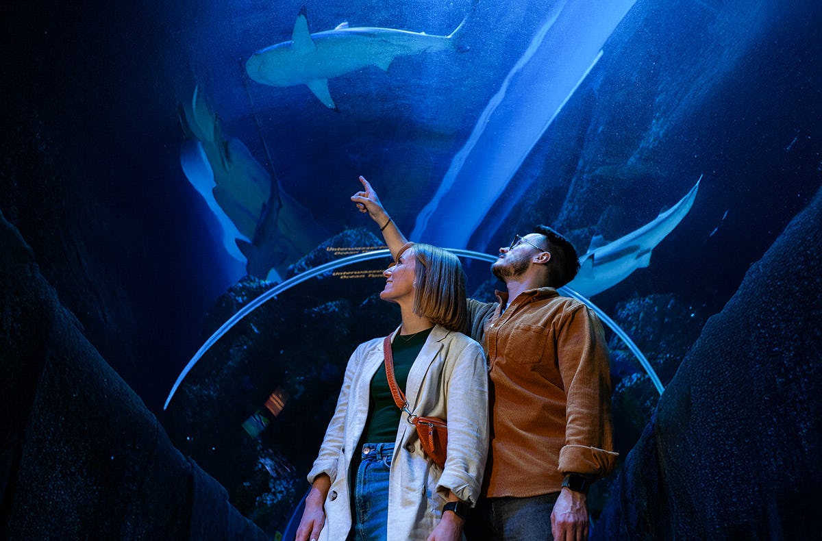 Sea Life Oberhausen (Kinder-Ticket)