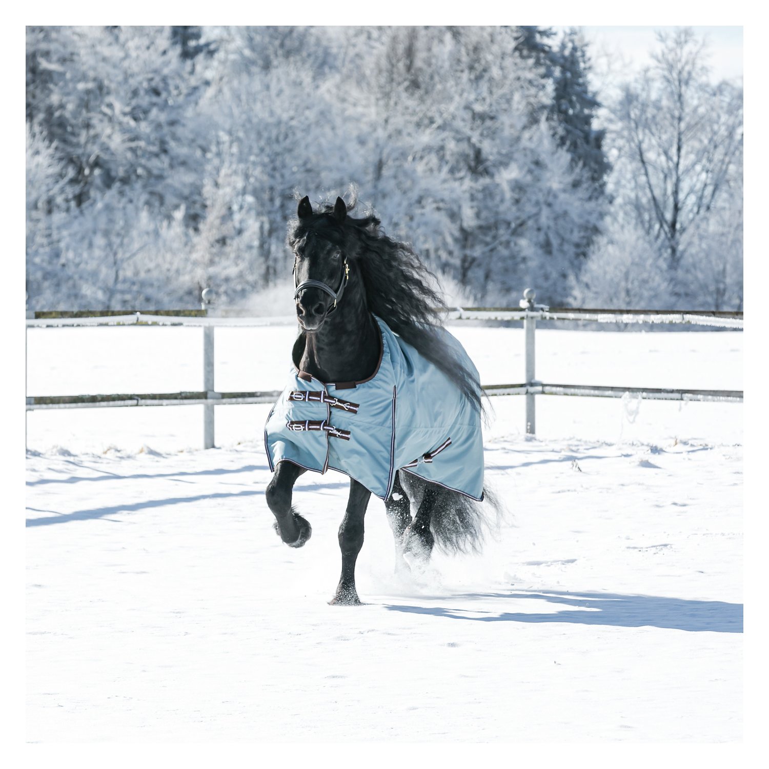 Horse-friends Outdoordecke XL 200 - denim