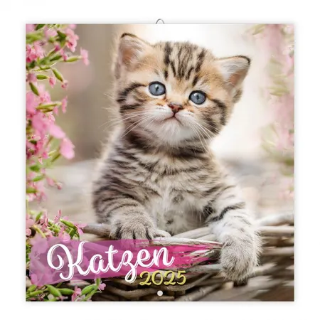 Trötsch Broschürenkalender 