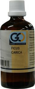Go Ficus Carica 100ml