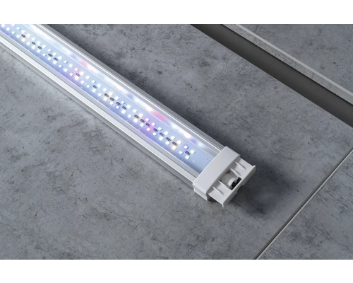 Aquariumcombinatie Fluval Siena 166 met LED-verlichting, verwarming, buitenfilter en kast, 166 l, beton, 55 x 55 x 128 cm