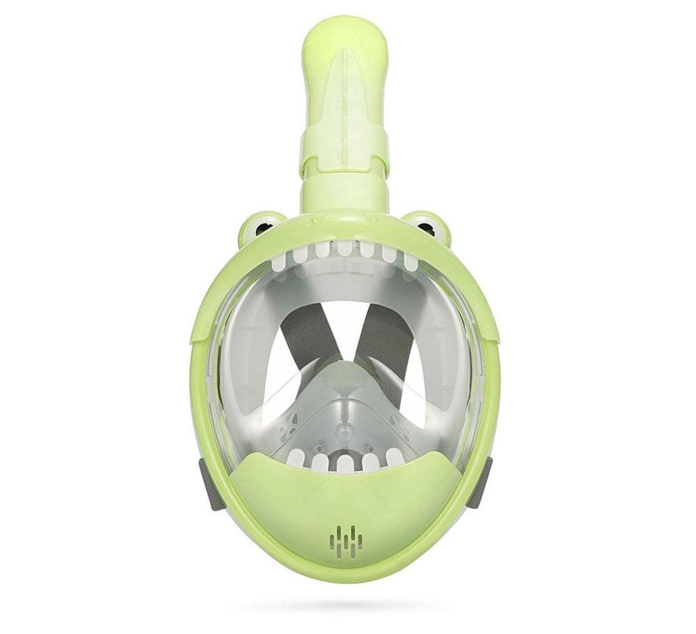 Sea Turtle  Full Face Mask Junior
