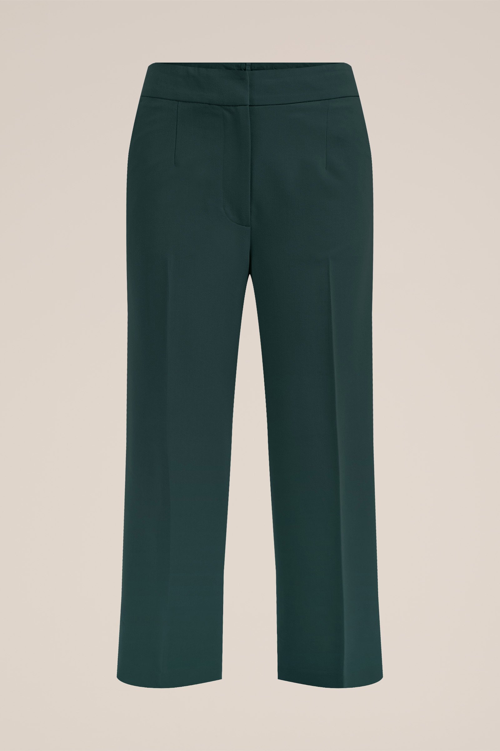 regular fit pantalon - Curve WE Fashion Donkergroen