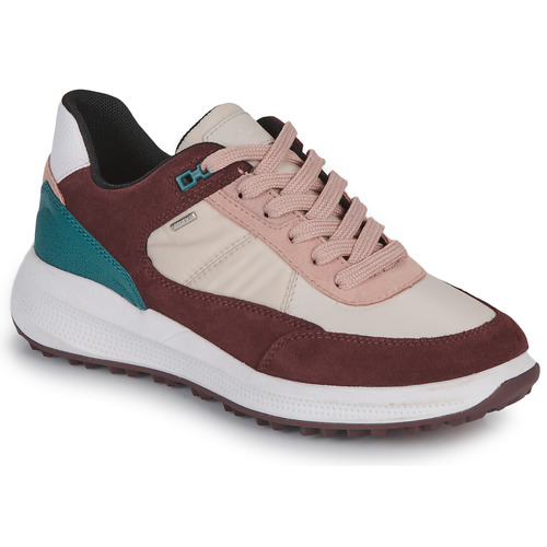 Geox - D PG1X B ABX - Beige / Bordeaux