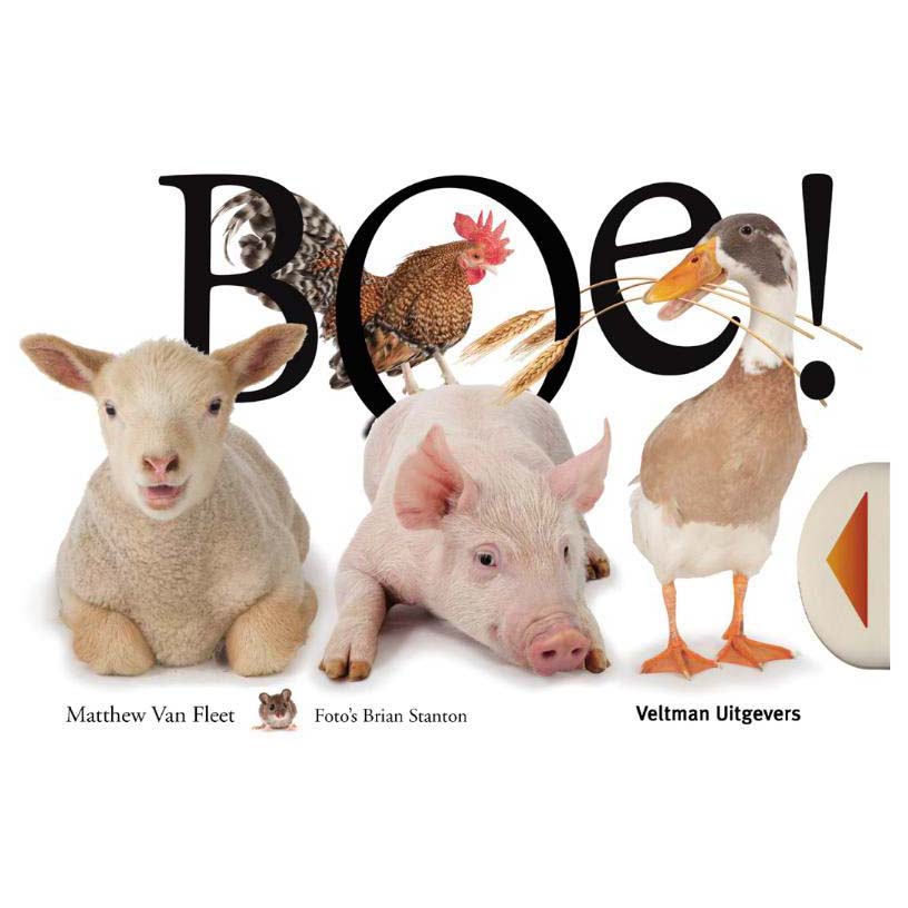 BOE!