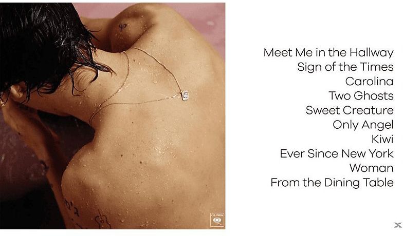 Harry Styles - Harry Styles - LP - Vinyl - Standaard Editie