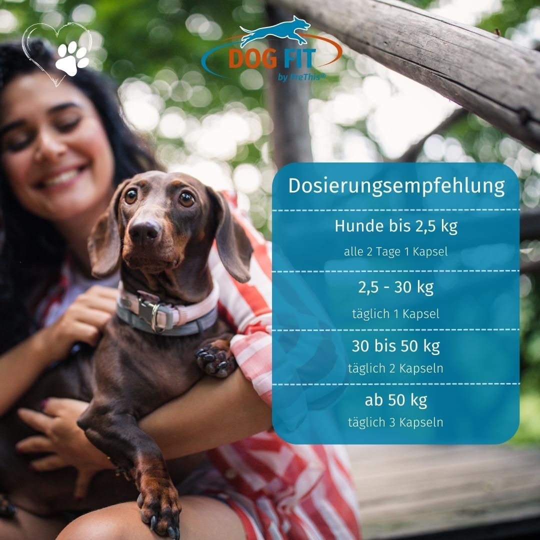 DOG FIT by PreThis® VITAL immun für Hunde » Stärkung, Darmaufbau, bei Allergien (small)