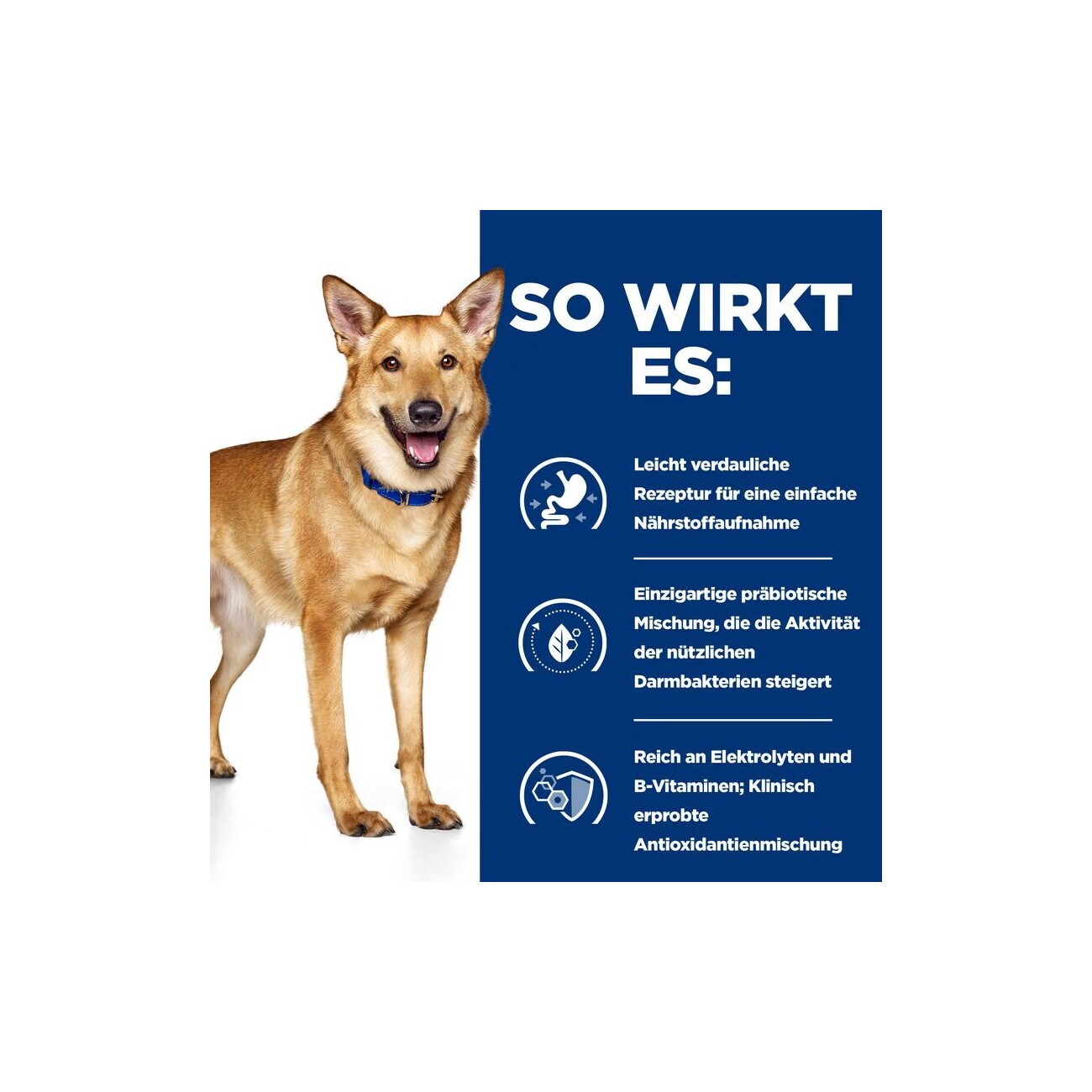 Hill's Prescription Diet i/d Trockenfutter für Hunde, Adult, mit Huhn zur Unterstützung der Verdauung 4 kg