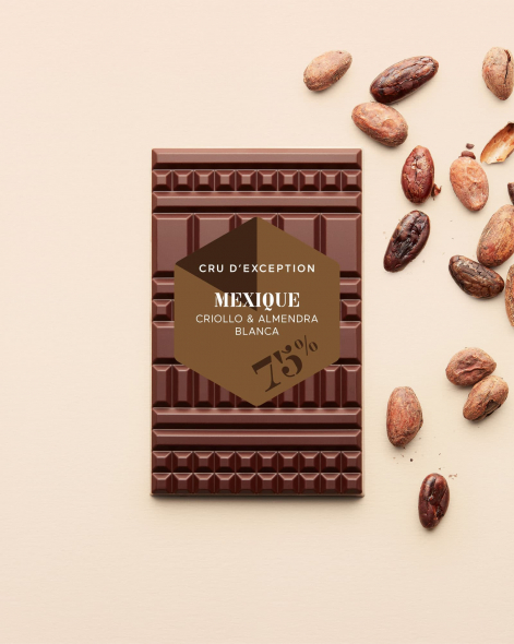 Tablette Mexique Criollo & Almendra Blanca Chocolat Noir 75% | Le Chocolat Alain Ducasse 75g
