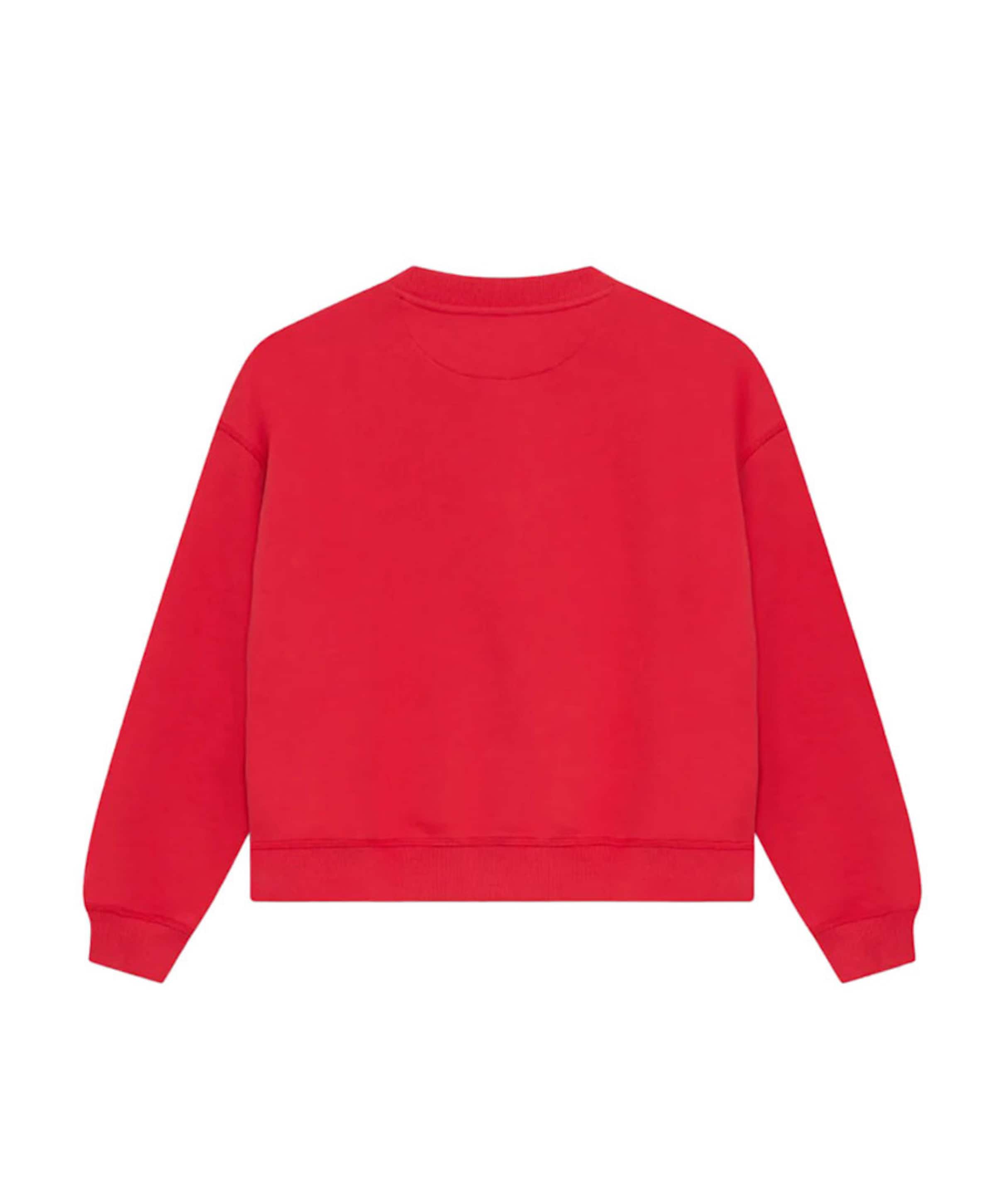 The New Society Uniseks sweater  rood