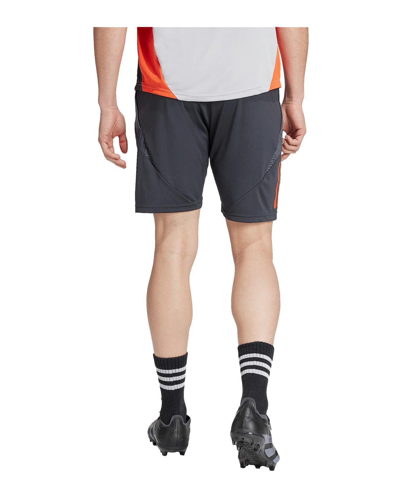 adidas Benfica Lissabon Short Grau
