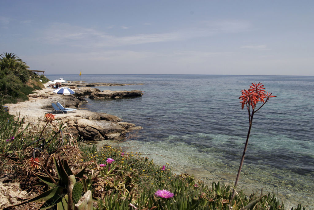 Hersonissos Maris Halfpension - Hotel