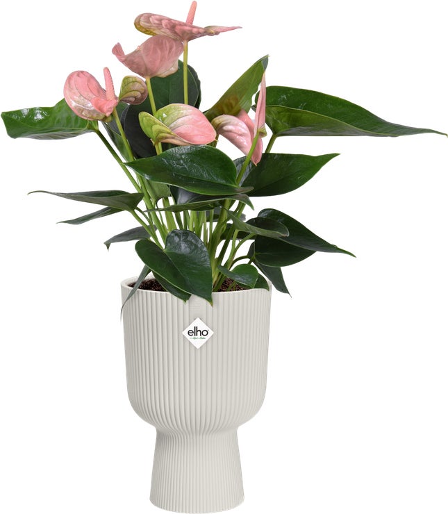Elho bloempot op voet Vibes wit D 13,9 H 21 cm