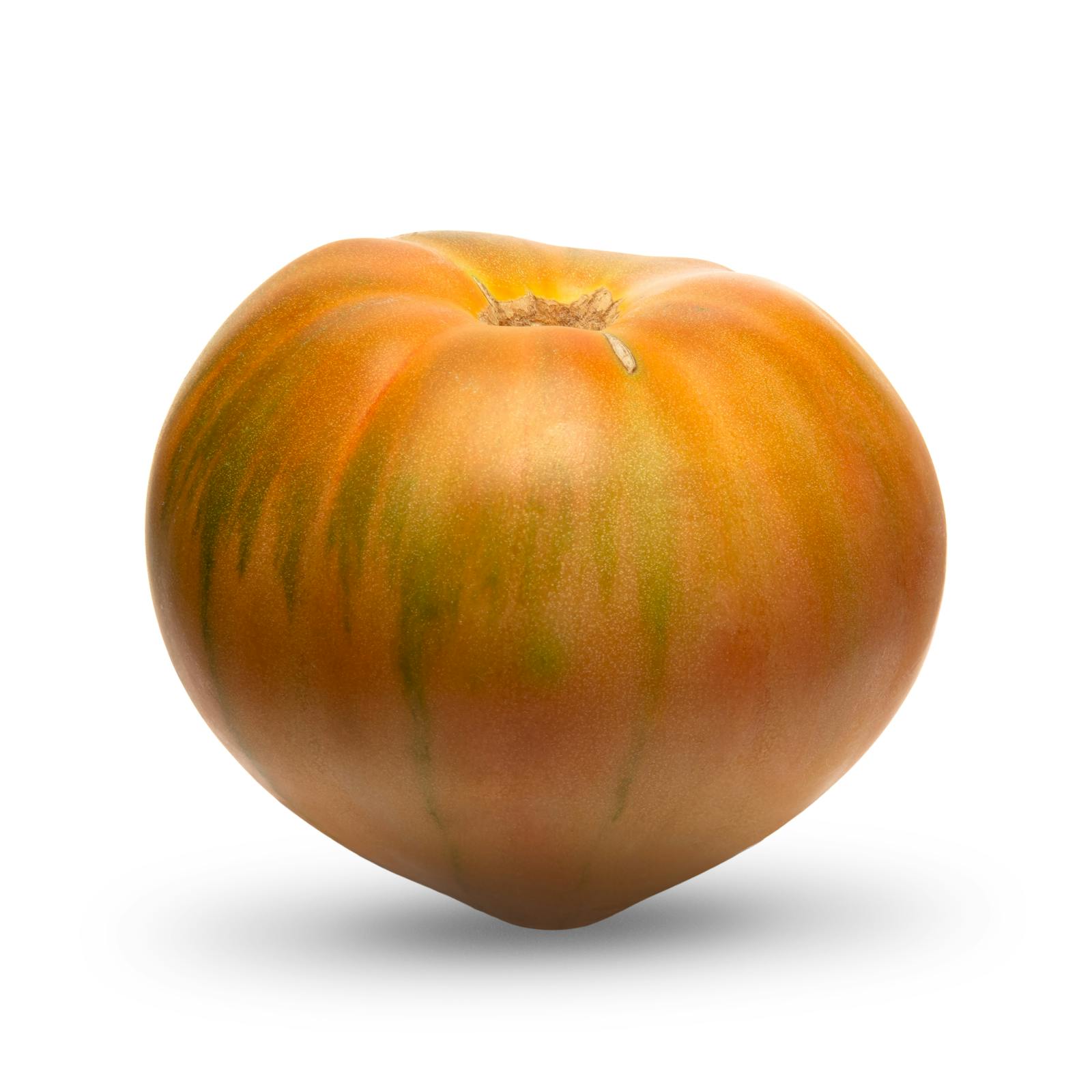 Tomate valencienne