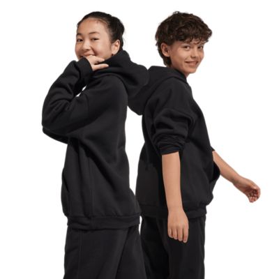 Adidas SportswearEssentials Big Logo Hoodie - schwarz