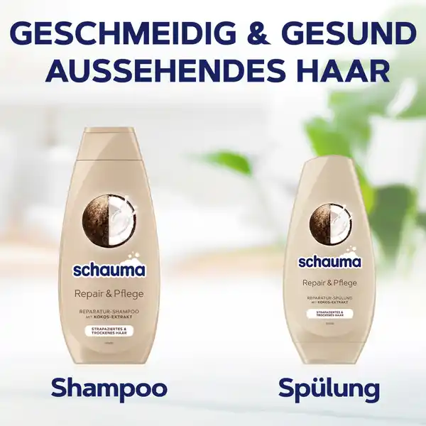 Repair & Pflege Spülung