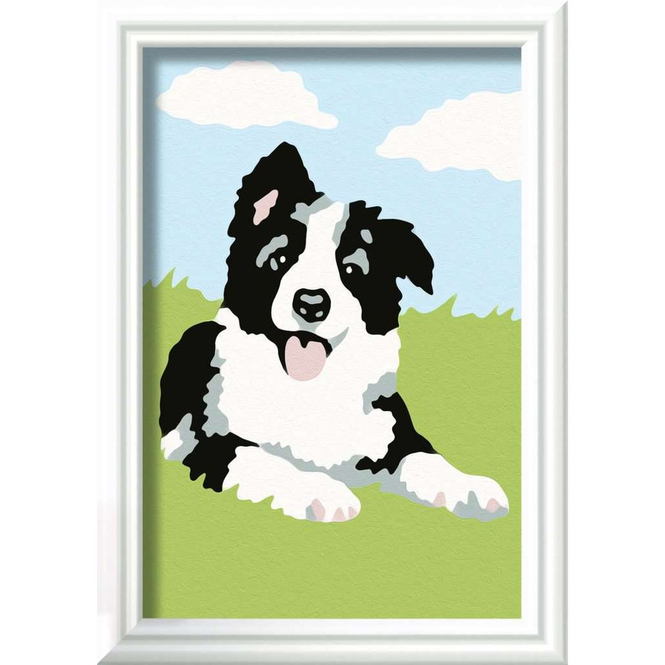 Malen nach Zahlen - Border Collie Welpe
