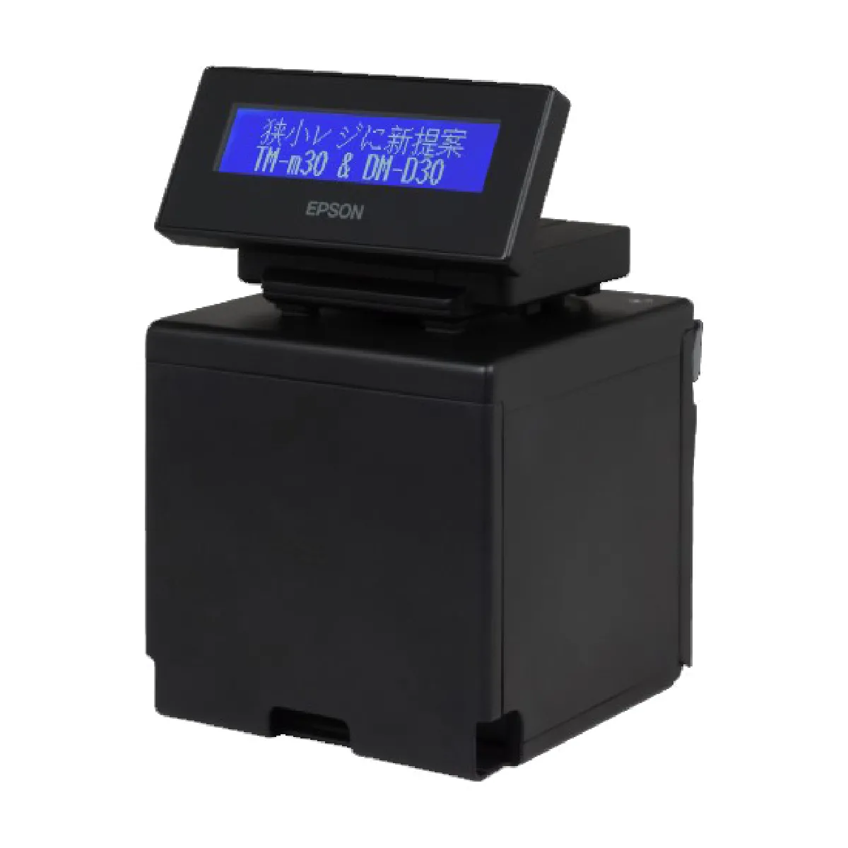 Epson DM-D30 - Noir
