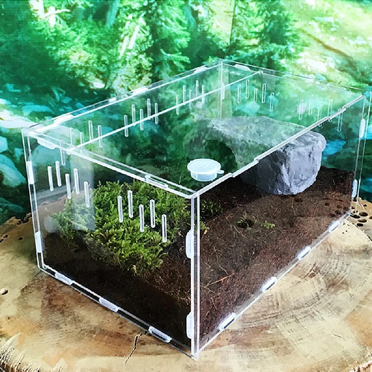 Universal Vitrine Acrylique Reptiles