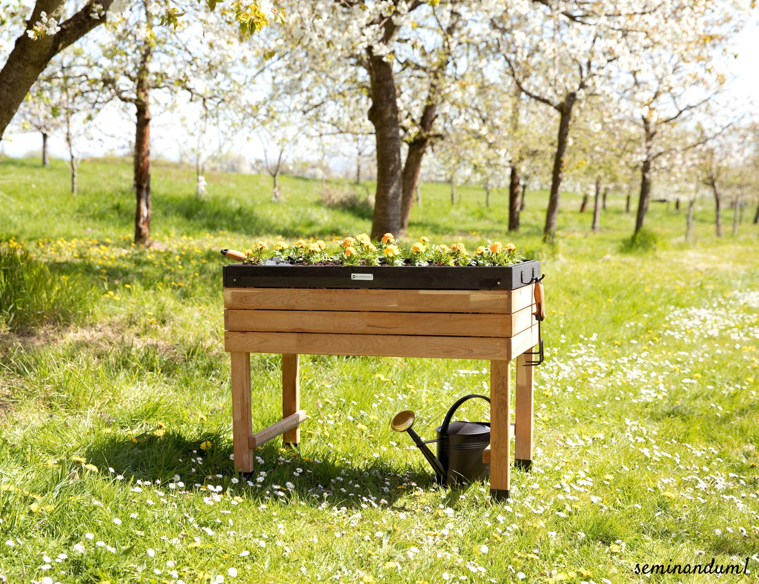 WONDERMAKE - Grote verhoogde tuinbak van kersenhout voor tuin, balkon en terras; XL hoogwaardige rechthoekige plantenbakset met binnenbak; kruidentuinbak, decoratief, donkerbruin/zwart