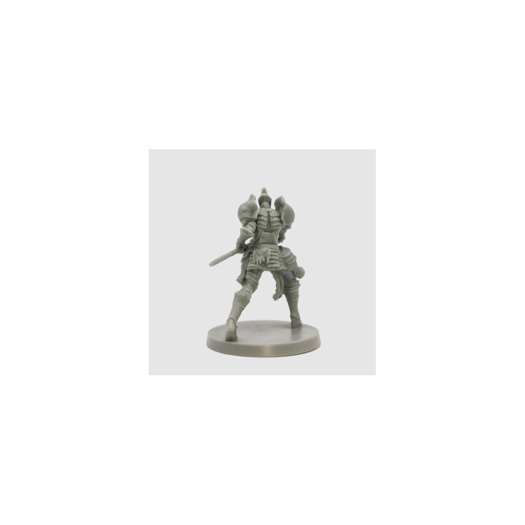 Dark Souls RPG - Captains and Warriors