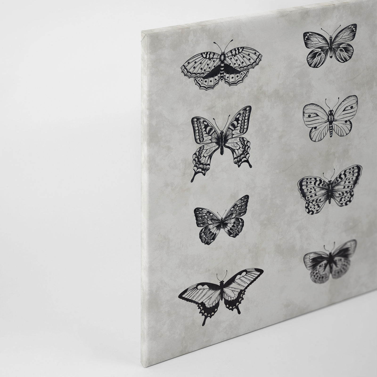 Leinwandbild SCHMETTERLINGE - grau-schwarz - 90x60 cm