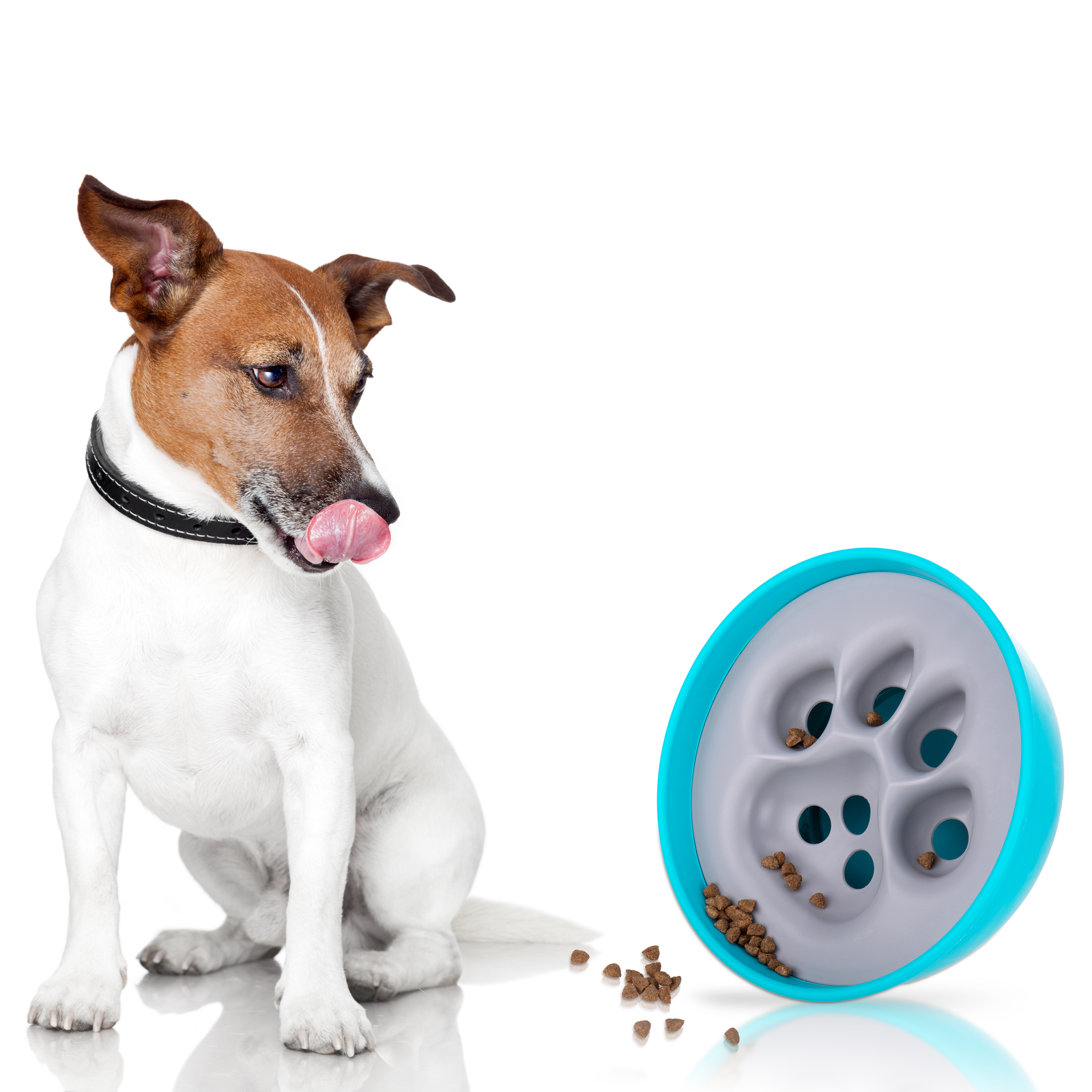 Alimentador interativo para animais de estimação