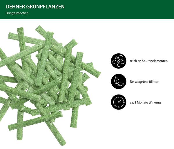 Dehner Düngestäbchen für Grünpflanzen, 30