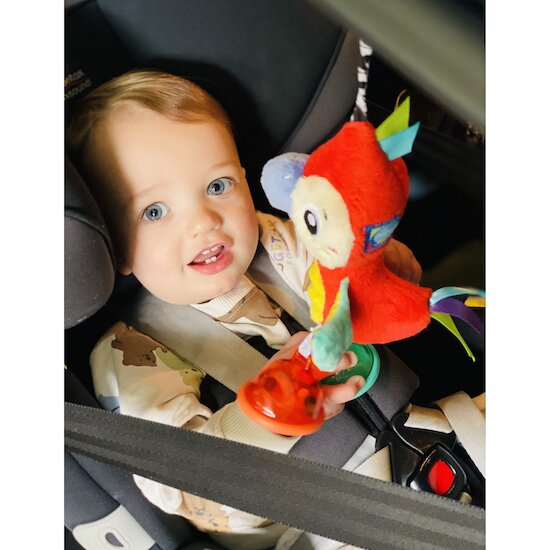 Jouet Nomade Dingly Dangly   Mio le Perroquet        de               Playgro