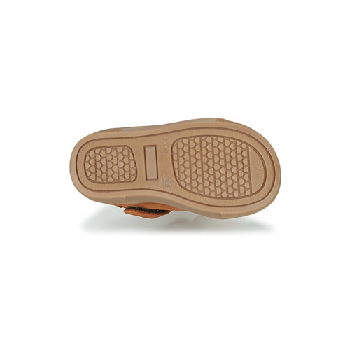 GBB - WESTY - Marron