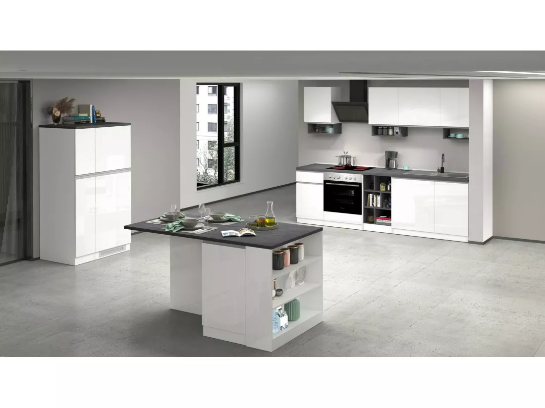 Cuisine complète Dcelient, Ensemble avec garde-manger, Meuble de kitchenette, Kit bloc linéaire, 100% Made in Italy, 255x60h85 cm, Blanc brillant et ardoise