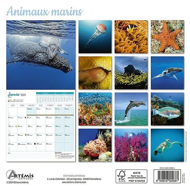 CARTOTHEQUE - CALENDRIER ANIMAUX MARINS 2025